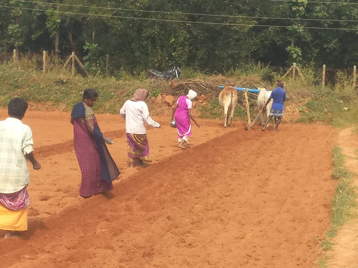 Agriculture and environment initiative